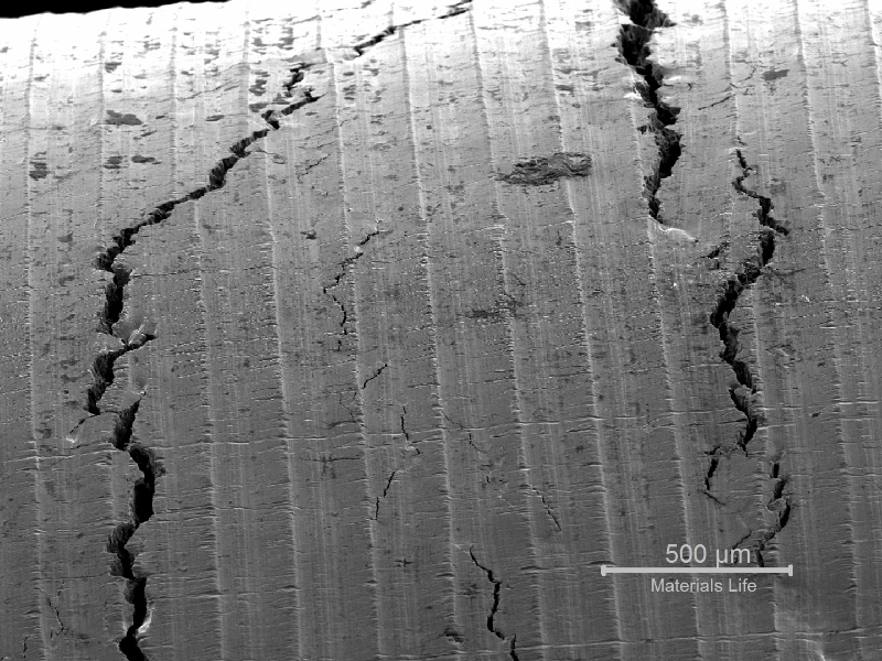 Scanning electron microscopy image of the external surface of the line at the cracking position showing multiple cracks, branched, transverse to the line axis.