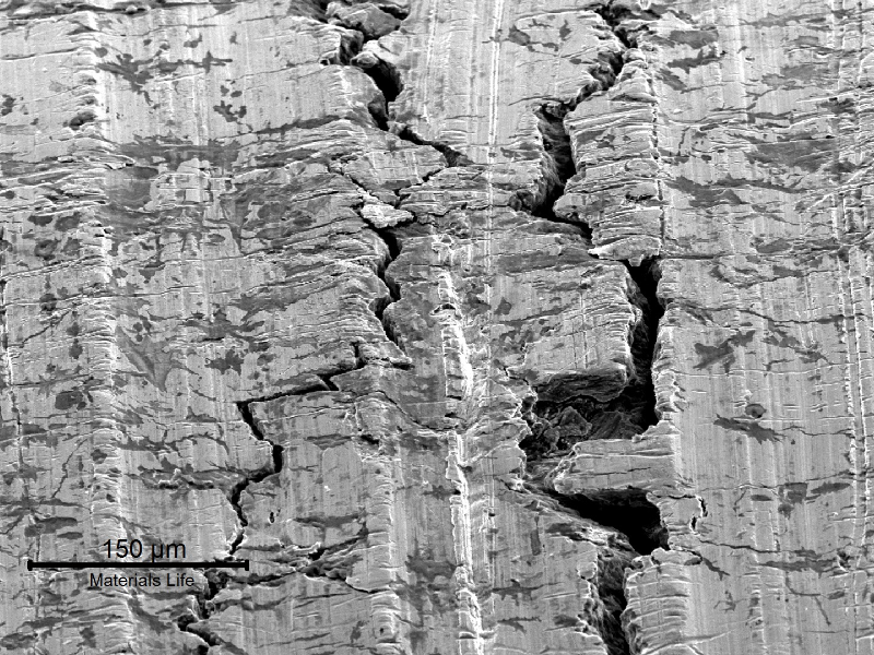 Detail, by scanning electron microscopy, of the external surface of the line at the cracking position presenting branched cracks, transverse to the line axis. The surface of the fitting is fully stained (dark grey), from where the cracks start, indicating that the material loose passivation in these regions.