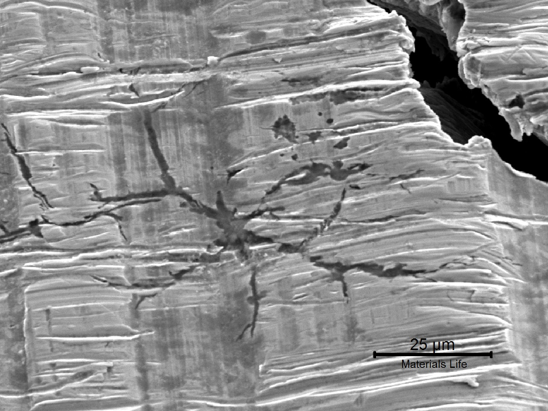 Detail of one region that had the passivation layer destroyed .
