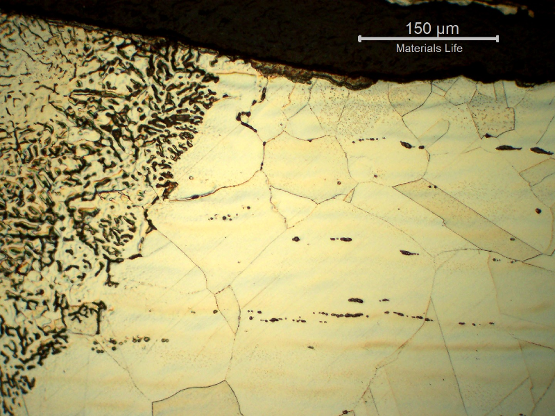 Micrographic detail of the fusion line of the fitting, close to OD. Austenitic base metal and austeno-ferritic weld metal.