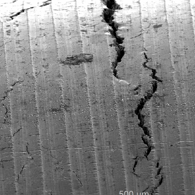 Scanning electron microscopy image of the external surface of the line at the cracking position showing multiple cracks, branched, transverse to the line axis.