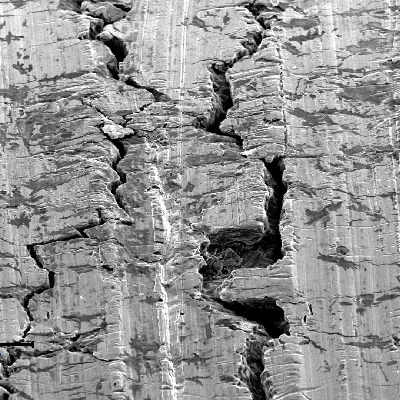 Detail, by scanning electron microscopy, of the external surface of the line at the cracking position presenting branched cracks, transverse to the line axis. The surface of the fitting is fully stained (dark grey), from where the cracks start, indicating that the material loose passivation in these regions.