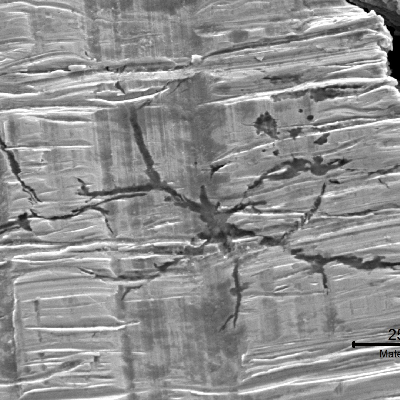 Detail of one region that had the passivation layer destroyed .