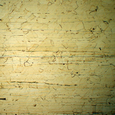 Base metal micrography in the longitudinal section, showing an austenitic granular structure. Ghost lines evidence the hot forming direction.
