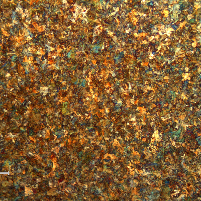 Micrography of a transverse section of the rail, in the head, showing equiaxial grains.  Perlitic microstructure.