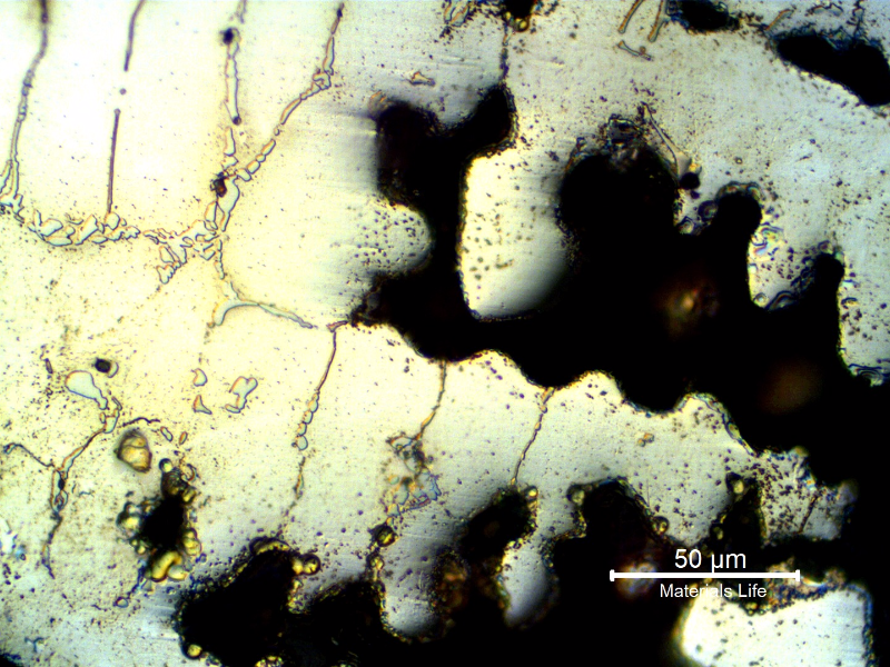 Micrography of the new tube close to a region of a casting defect (shrinkage), presenting only austenitic structure with a network of primary precipitates.