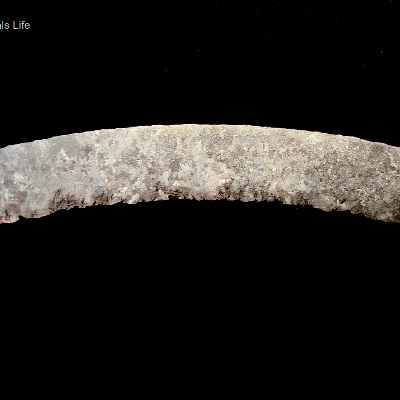 The macrography of a transverse section of the new tube shows that there are shrinkage voids close to the internal surface, that is exposed to high temperature air.  The tube is a 4" diameter and 1/4" thick.