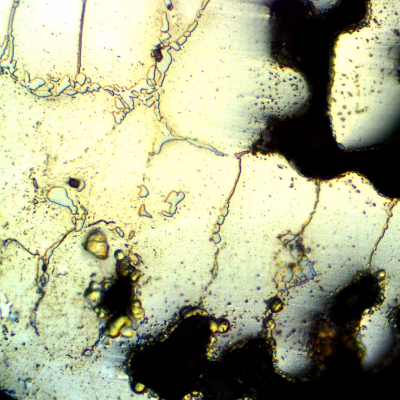 Micrography of the new tube close to a region of a casting defect (shrinkage), presenting only austenitic structure with a network of primary precipitates.