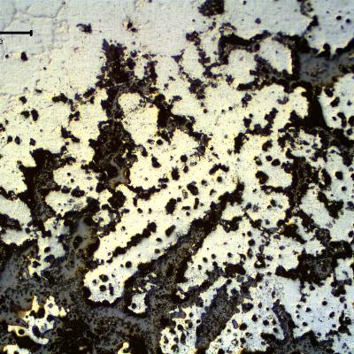 Micrography close to the internal surface of the tube removed from service after 6 month, presenting high temperature oxidation and shrinkage voids (casting defects).