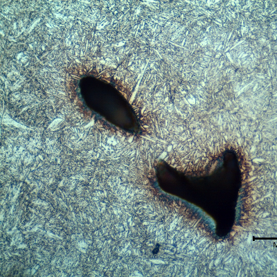 Micrography of the lifting padeye showing a quenched and tempered martensitic microstructure.  Voids are located in interdendritic segregated regions. At this magnification the segregation is not clear.