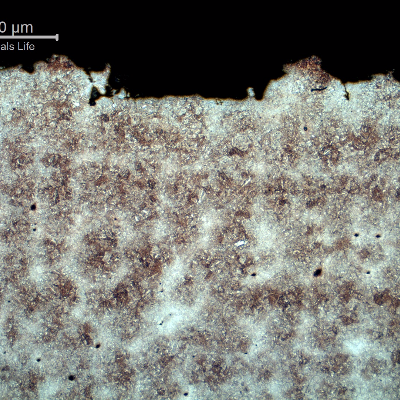 Micrography transverse to the fracture surface (in the top of the figure). The fracture is brittle and follows the interdendritic spaces, since these regions where the positions where there were casting defects.