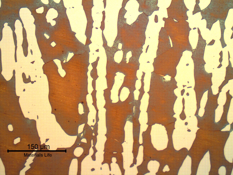 Micrography of the superduplex stainless steel forging connector (base metal), in the longitudinal direction.  Coarse ferritic-austenitic structure.