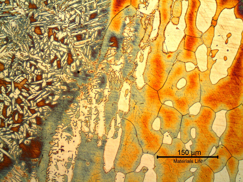 Micrography of the forging heat affected zone.