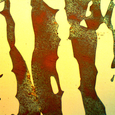 Micrographic detail of the superduplex stainless steel forging connector (base metal), in the longitudinal direction.  Coarse ferritic-austenitic structure.