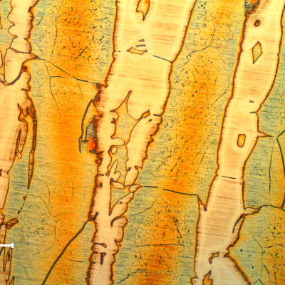 Micrography of the forging heat affected zone.
