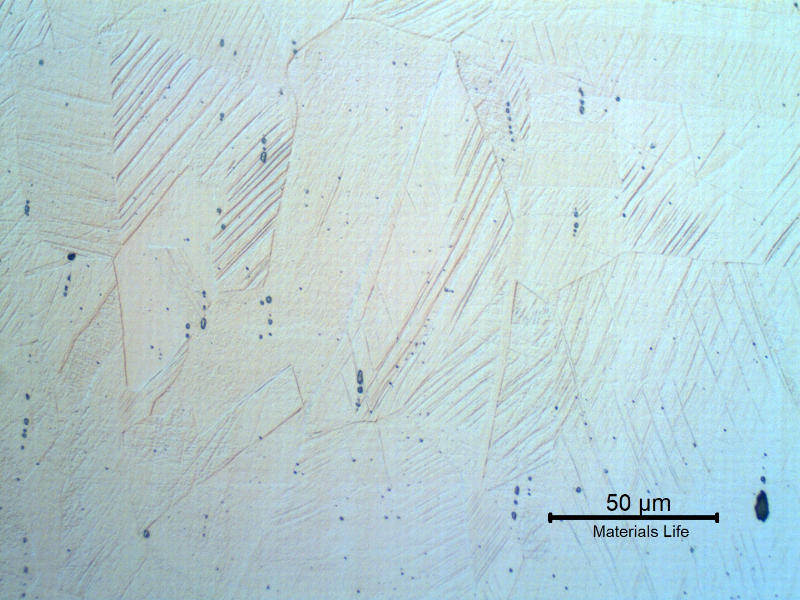 Micrographic detail of the strain hardened austenitic structure in the longitudinal section of the bolt.