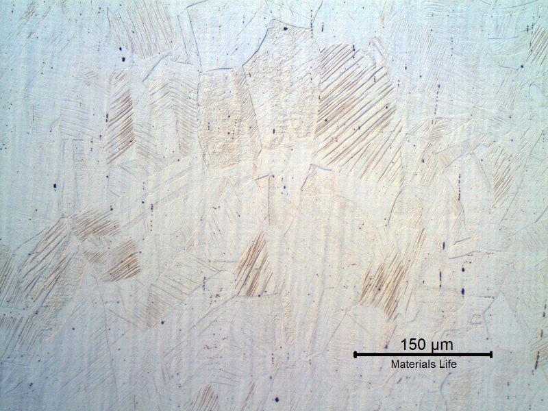 Micrography of the longitudinal section of the bolt, in the center of the body thickness. Strain hardened austenic structure.