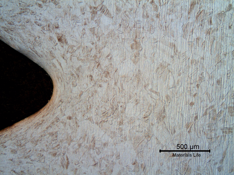 Micrography of the longitudinal section of the bolt, at the thread. The bolt was cold deformed and the thread was cold rolled.