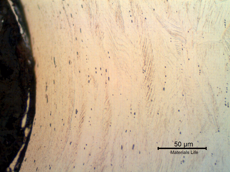 Micrographic detail of the strain hardened austenitic structure at the thread.
