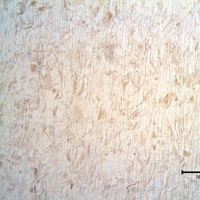 Micrography of the longitudinal section of the bolt, in the center of the body thickness. Strain hardened austenic structure.