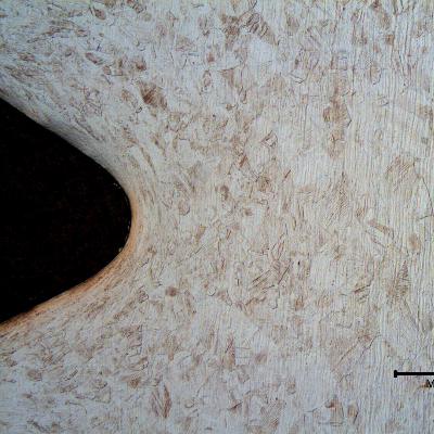 Micrography of the longitudinal section of the bolt, at the thread. The bolt was cold deformed and the thread was cold rolled.