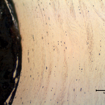 Micrographic detail of the strain hardened austenitic structure at the thread.