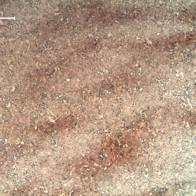 Micrography of the 4130 steel, normalized and tempered. The structure is sligthly banded (segregated) and the average hardness level is 20 HRc.