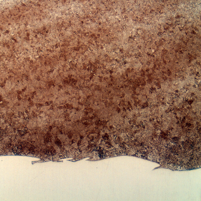 Micrography of the tubular 4130 forging at the heat affected zone (HAZ) of the Inconel overlay (white because it was not etched with the Nital). The structure is ferritic/bainitic because the overlay was conducted in two layers, and all the HAZ was reheated during welding.