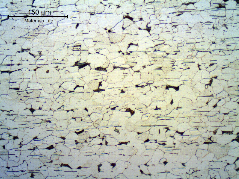 Micrography of the longitudinal section of the fitiing, in a free-cutting steel.  The microstructure is predominantly ferritic and there is a large amount of sulfide inclusions, aligned perpendicular to the forming direction.