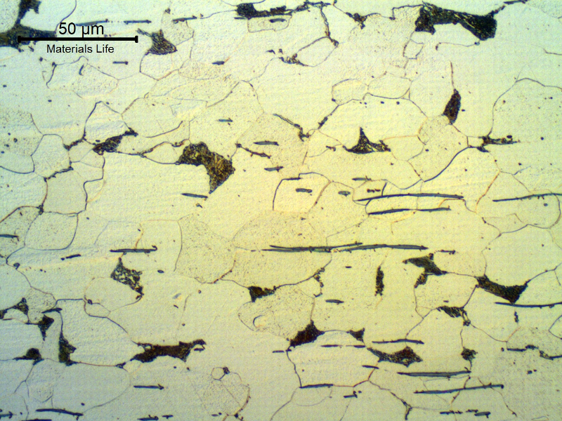 Micrographic detail of the longitudinal section of the fitiing, in a free-cutting steel.  The microstructure is predominantly ferritic, with small perlitic areas and some free cementite at ferritic grain boundaries.  There is a large amount of sulfide inclusions, aligned perpendicular to the forming direction.