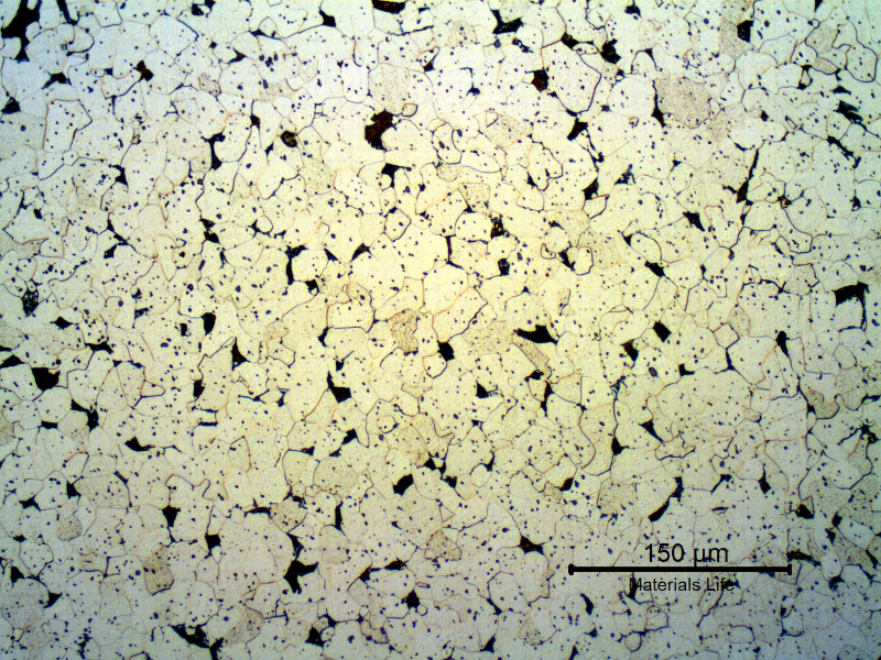 Micrography of the transerse section of the fitiing, in a free-cutting steel.  The microstructure is predominantly ferritic and the inclusions appear as dots.