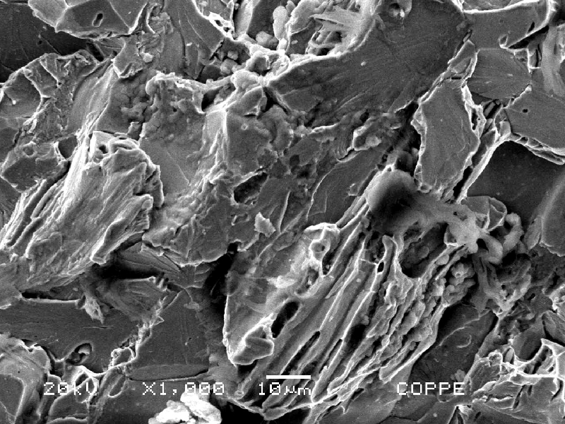 Details of the inclusion decohesion and cleavage.