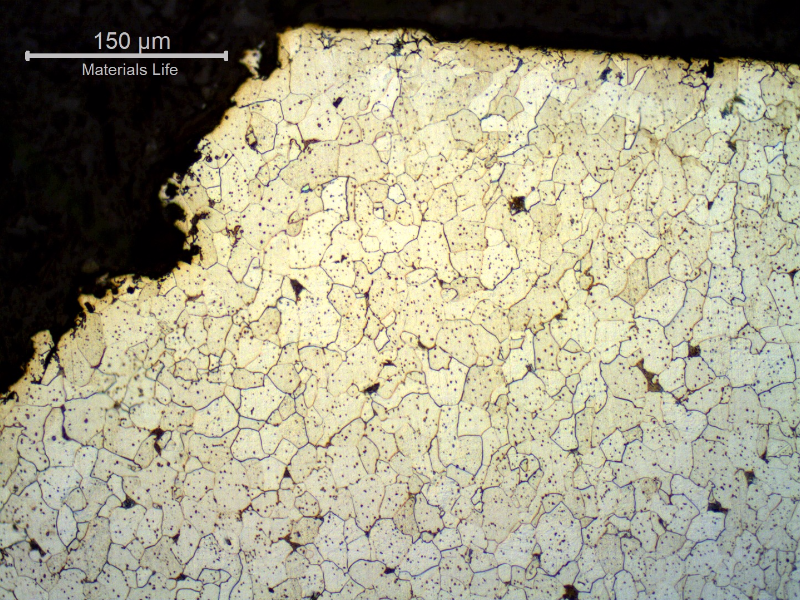 Micrography of a transverse section, perpendicular to the fracture surface, showing lack of plastic deformation during rupture.