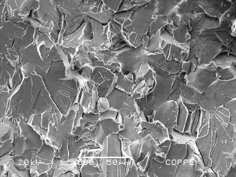 The hose connector fracture surface presented different fracture micromechanisms associated to the microstructure: inclusion decohesion, small regions of intergranular fractures (probably due to cementite at grain boundaries), and cleavage of the ferritic structure.  All these mechanisms are brittle.
