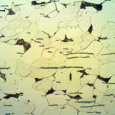 Micrographic detail of the longitudinal section of the fitiing, in a free-cutting steel.  The microstructure is predominantly ferritic, with small perlitic areas and some free cementite at ferritic grain boundaries.  There is a large amount of sulfide inclusions, aligned perpendicular to the forming direction.