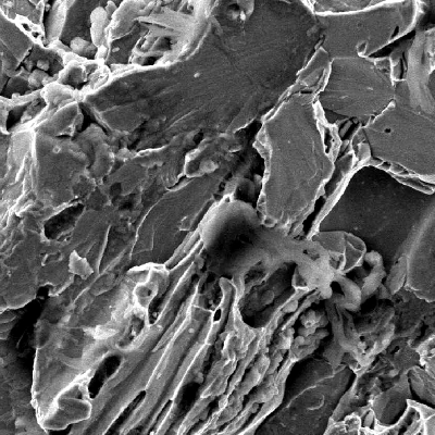 Details of the inclusion decohesion and cleavage.