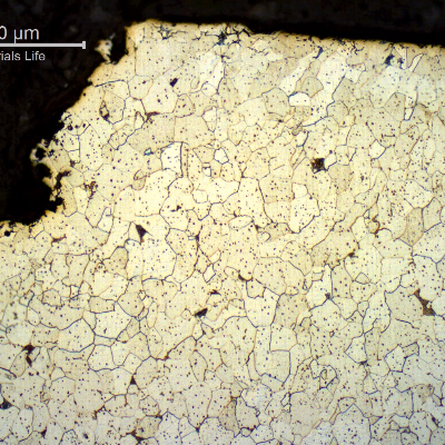Micrography of a transverse section, perpendicular to the fracture surface, showing lack of plastic deformation during rupture.