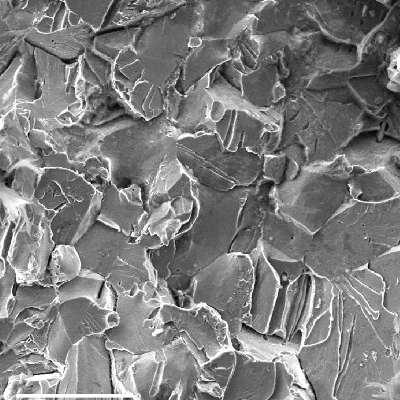 The hose connector fracture surface presented different fracture micromechanisms associated to the microstructure: inclusion decohesion, small regions of intergranular fractures (probably due to cementite at grain boundaries), and cleavage of the ferritic structure.  All these mechanisms are brittle.