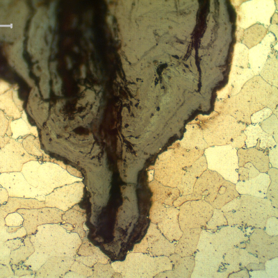 Micrographic detail of the thermal fatigue cracking, assisted by corrosion, at the OD, in a longitudinal section. The microstructure is ferrite with coalescing carbides.