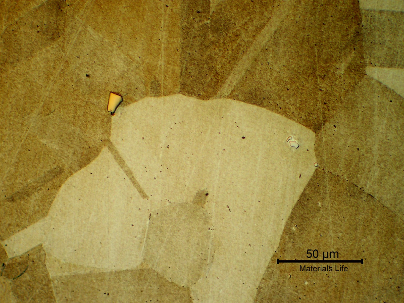Micrographic detail of a longitudinal section in the center of the bolt. 
Granular austenitic microstructure, equiaxial, primary precipitates (isolated), precipitation hardened (shadow grains).