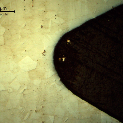 Low magnification micrography of the bolt in a longitudinal section, at the bolt thread, showing no evidences of forming operations, indicating that it was machined from a heat treated bar. Austenitic microstructure, granular, equiaxial.