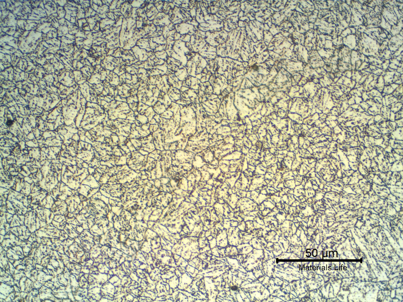 Micrography of a longitudinal section of the tube in the center of the thickness, showing a ferritic-bainitic structure of this CrMoV steel.
