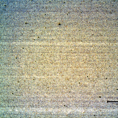Micrography of a longitudinal section of the tube in the center of the thickness, showing a ferritic-bainitic structure of this CrMoV steel.