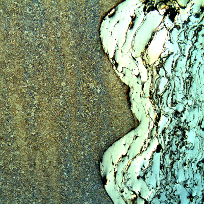 Micrography of the interface between the shaft surface and the thermal spray layer. The shaft steel presents a quenched and tempered structure. Longitudinal section.