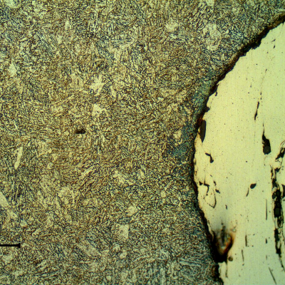 Micrographic detail of the interface between the shaft surface and the thermal spray layer. The shaft steel presents a quenched and tempered structure. Longitudinal section.
