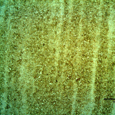 Shaft microstructure in the longitudinal section, showing aligned segregations typical of the material forming.