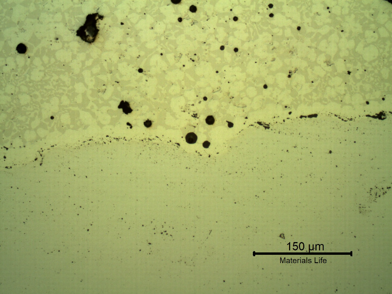 Micrography, as polished, of the transverse section of the forged pin with the layer applied by a (thermal) spray and fuse process.  The layer was melted after thermal spray application and the layer presents a continuous matrix, but there are globular oxides and pores entrapped.