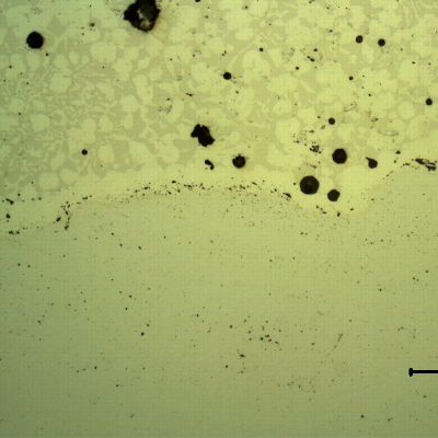 Micrography, as polished, of the transverse section of the forged pin with the layer applied by a (thermal) spray and fuse process.  The layer was melted after thermal spray application and the layer presents a continuous matrix, but there are globular oxides and pores entrapped.