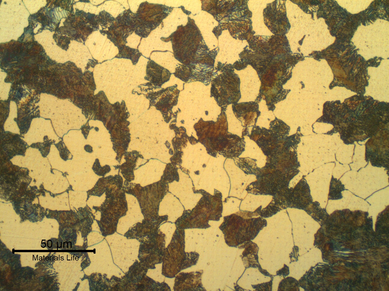 Micrographic detail of the ferritic-pearlitic structure in the center of the thickness of the tubular forging pin. Transverse section. The fuse is conducted in high temperature and the pin was not heat treated after the thermal spray deposition and fuse.