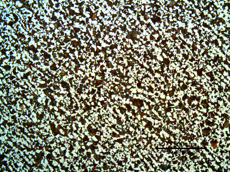Low magnification micrography of the pin in the center of the 25 mm thickness. Ferritic-pearlitic structure of the material that slowly cooled after spray and fuse application. Transverse section.